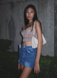 Asian Harem - Transsexual escort in Bangkok Photo 15 of 16