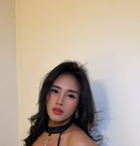 Asian HUGECOCK ASIAN TS KAYE - Acompañantes transexual in Bangkok Photo 1 of 13