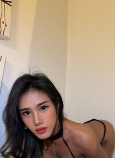 AsianPrincessHardFucker Kaye - Transsexual escort in Bangkok Photo 5 of 13