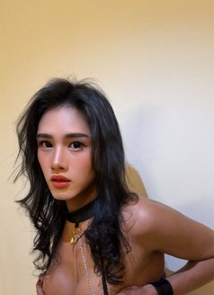 AsianPrincessHardFucker Kaye - Transsexual escort in Bangkok Photo 6 of 13