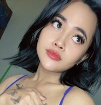 Asian Ladyboy - Transsexual escort in Sydney