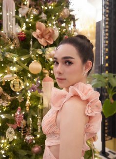 Asian.ladyboy.Kendall - Transsexual escort in Tbilisi Photo 8 of 14