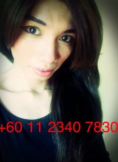 Asian Next Top Shemale Model Ts. Anis Ali - Transsexual escort in Kuala Lumpur Photo 1 of 5