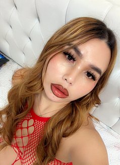 Asian Rose - escort in Doha Photo 16 of 20