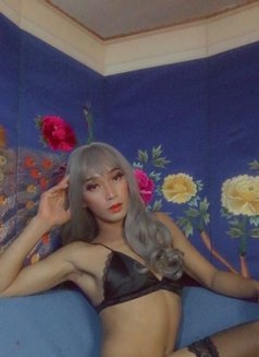 Asian_mistress - Transsexual escort in Cebu City Photo 2 of 12