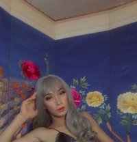 Asian_mistress - Transsexual escort in Cebu City