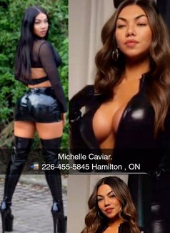 Asian Service Provider Michelle - Transsexual escort in Toronto Photo 12 of 13