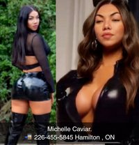 Asian Service Provider Michelle - Transsexual escort in Toronto