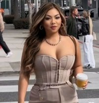 Michelle. Sexy Asian Mistress - Acompañantes transexual in Hamilton, Canada