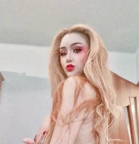 Asian Shemale Horny for you - Transsexual escort in Tbilisi