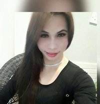 Asian Top69 - Transsexual escort in Abu Dhabi