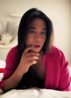 ASIAN Ts Ahya - Transsexual escort in Zagreb Photo 14 of 23