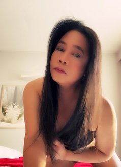 ASIAN Ts Ahya - Transsexual escort in Zagreb Photo 15 of 23