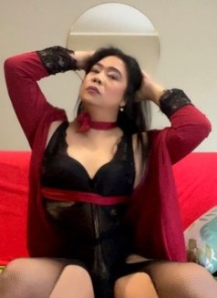ASIAN Ts Ahya - Transsexual escort in Zagreb Photo 18 of 23