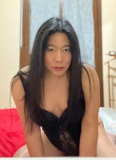 ASIAN Ts Ahya - Transsexual escort in Zagreb Photo 7 of 23