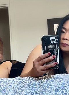 ASIAN Ts Ahya - Transsexual escort in Zagreb Photo 21 of 23