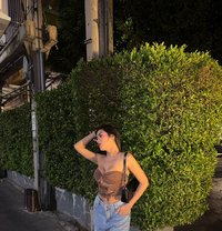 #LIVECAMSHOW#SellingVideoContent - Transsexual escort in Singapore