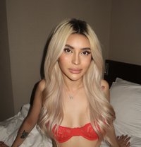 ASIANBABYGIRL - Transsexual escort in Manila
