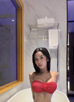 AsianPersuasion69 - escort in Cebu City Photo 17 of 27