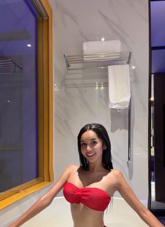 AsianPersuasion69 - escort in Cebu City Photo 18 of 27