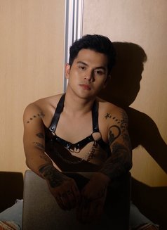 AsianSTUD - Male escort in Bangkok Photo 3 of 7