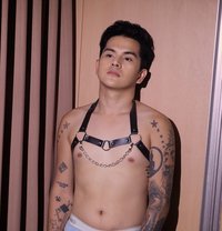 AsianSTUD - Male escort in Bangkok Photo 5 of 7