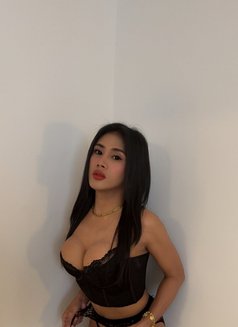 AsianSweetgirlKaye just landed here - Transsexual escort in Bangkok Photo 1 of 13