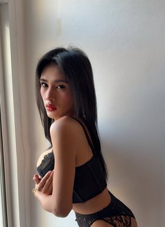 AsianSweetgirlKaye just landed here - Transsexual escort in Bangkok Photo 4 of 13