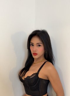 AsianSweetgirlKaye just landed here - Transsexual escort in Bangkok Photo 9 of 13