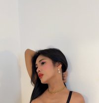 AsianSweetgirlKaye just landed here - Transsexual escort in Bangkok Photo 13 of 13