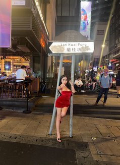 Asianxbombshell (YES TO ALL) AVAILABLE - escort in Hong Kong Photo 16 of 17