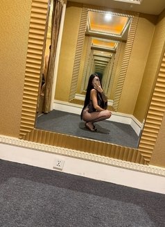 Asianxbombshell ( YES TO ALL ) - escort in Taipei Photo 14 of 14