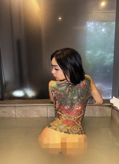 Asianxbombshell ( YES TO ALL ) - escort in Kuala Lumpur Photo 10 of 18