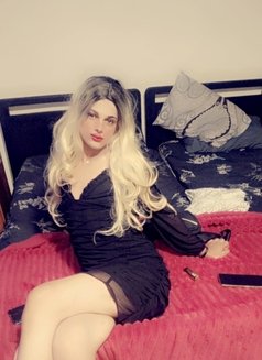 Asil - Transsexual escort in Beirut Photo 1 of 5