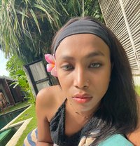 Asila - Transsexual escort in Bali