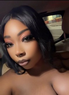 Asley - escort in Dubai Photo 5 of 6