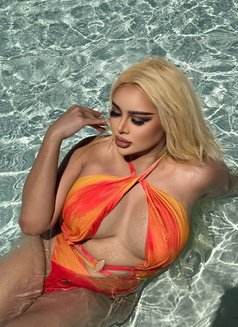 Queen Monika - Acompañantes transexual in Riyadh Photo 12 of 12