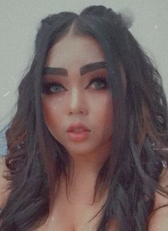 Ass+pussy, Thai escort in Muscat