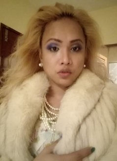 Ass Trannyca Fukccine - Transsexual escort in Bangkok Photo 10 of 11