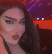 Assal - Transsexual escort in Erbil