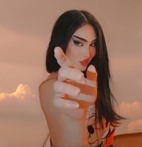 Assal - Transsexual escort in Erbil