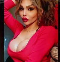 Assal - Acompañantes transexual in Erbil