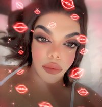 Assel - Transsexual escort in Riyadh