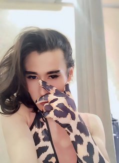 Asu - Acompañantes transexual in Tashkent Photo 1 of 11