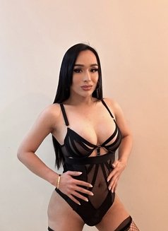 Just Arrived Lets fuck and Cum together - Transsexual escort in Hong Kong Photo 15 of 23