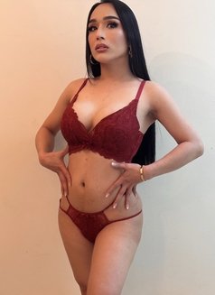 Just Arrived Lets fuck and Cum together - Transsexual escort in Hong Kong Photo 14 of 23