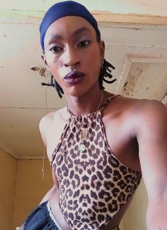 Athena - Acompañantes transexual in Nairobi Photo 5 of 6