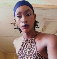 Athena - Acompañantes transexual in Nairobi