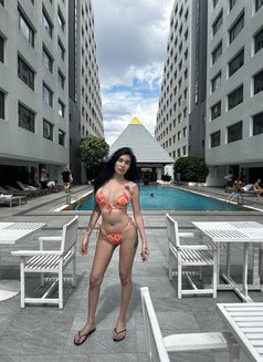 Athena love check my insta for more pics - escort in Bangkok Photo 3 of 30