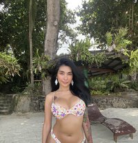 Athena love check my insta for more pics - escort in Ho Chi Minh City